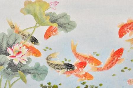 红红火火旺全家！大门风水好，家中出贵人
