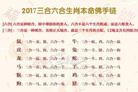 鼠马的八字不合