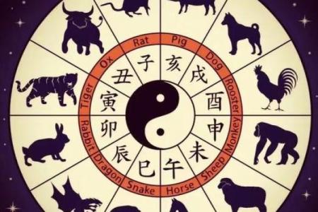 配生辰八字