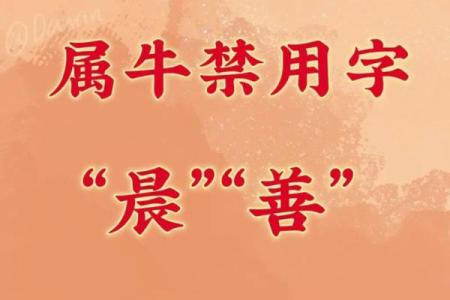 早上8点出生的属牛男孩怎么样起名，宜用什么字姓名