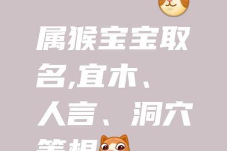 1月份出生的属猴男孩该怎么取名才好姓名