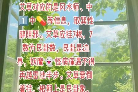 风水解答为什么不应该将艾草作为礼物送给别人