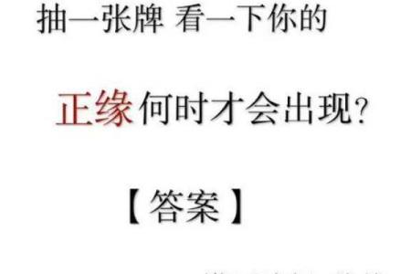 塔罗测试爱情走向