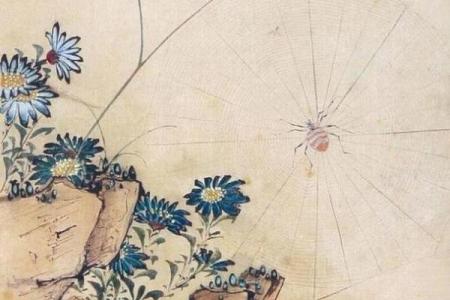 老房子会有蜘蛛网嘛风水
