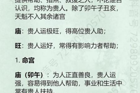 紫薇斗数入门