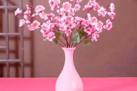 阳台和窗台风水布置提高桃花运