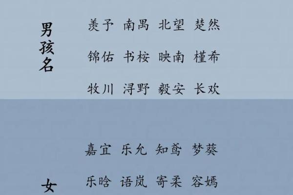 中午1点出生的属鸡男孩取名字适合用哪些字姓名