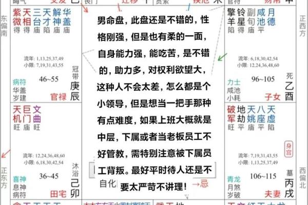 命理学紫薇斗数