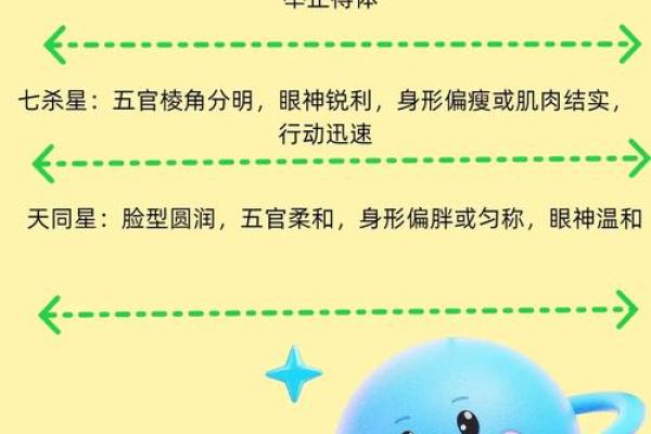 紫薇斗数星宿含义