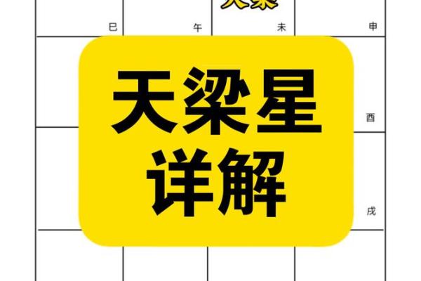 紫薇斗数梁派