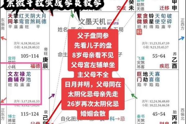 紫薇斗数实战实例