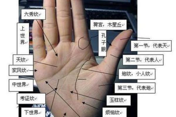 看手相算命图解