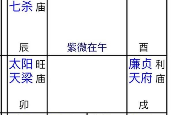 紫薇斗数命盘怎么看