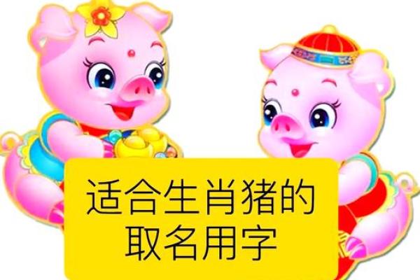 4月份出生的属猪男孩该怎么起名姓名