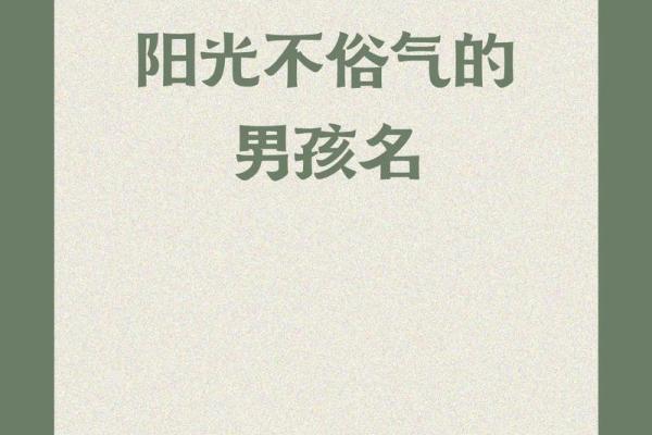 2019年6月19号子时出生的男孩如何起名姓名