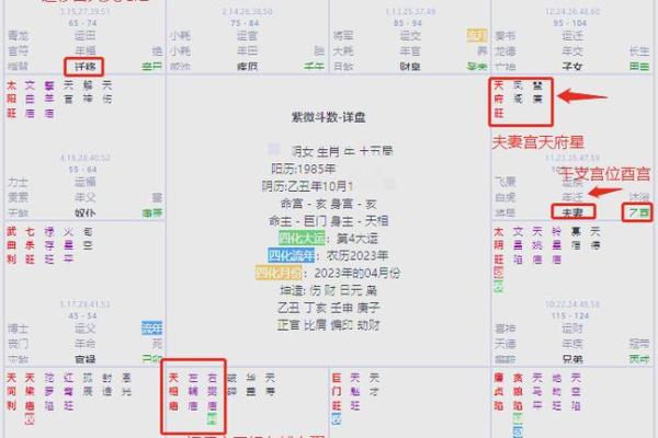 用紫薇斗数怎么判断配偶的个性和身体健康状况？