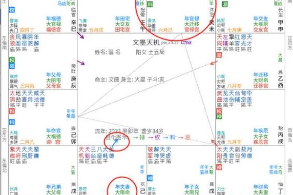 天粱紫薇斗数