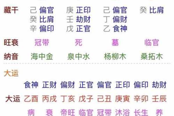 八字癸巳什么意思
