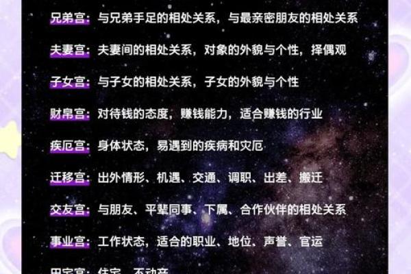 紫薇斗数综合详解