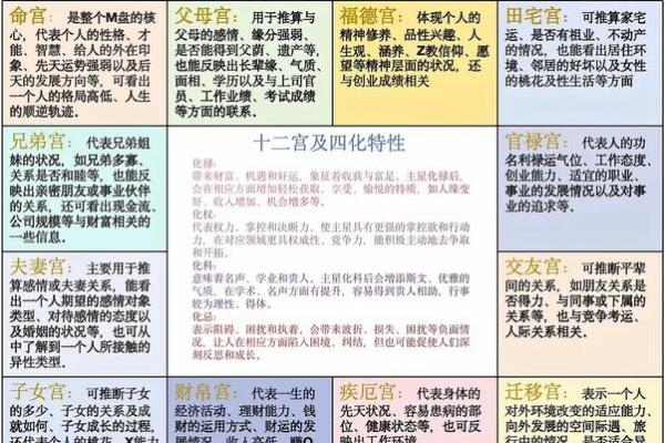 紫微星入命宫与其他星曜之关系分析#紫微斗数教学