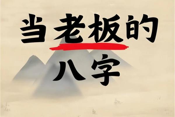 领导八字