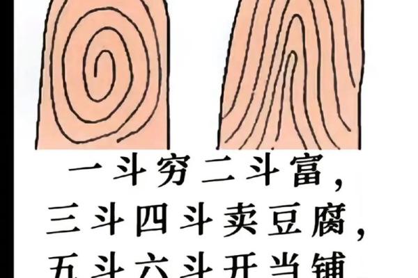 手指斗算命 手上有几个斗适合当老板