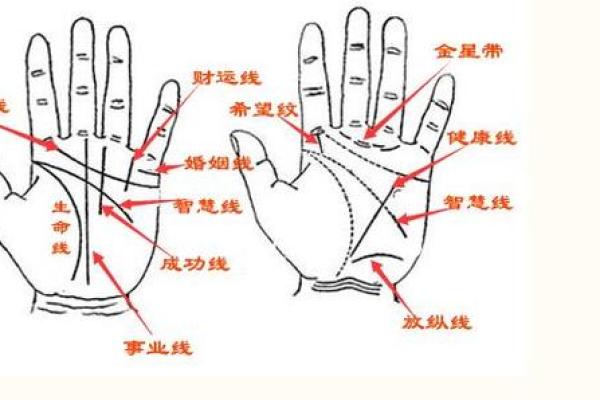 如何看手相算命看手相怎么看 如何看手相算命图片大全图解