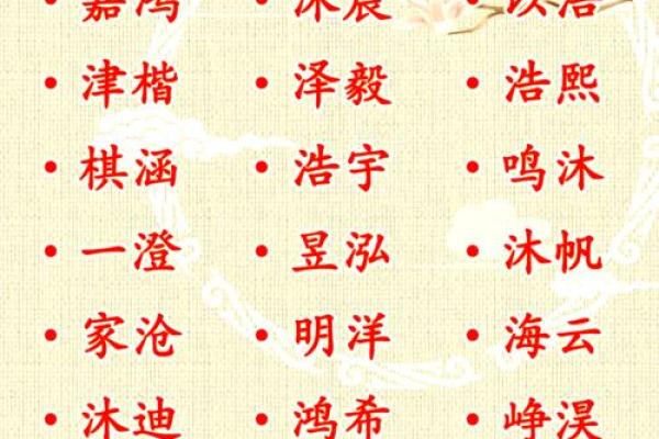 2019年3月19号寅时出生的男孩应该起什么样的名字姓名