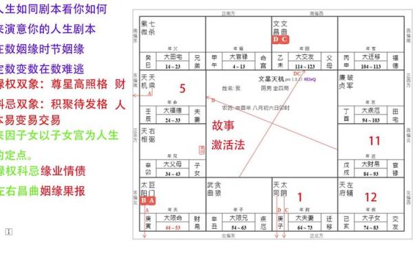 紫薇斗数要学多久