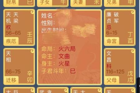 紫微斗数格局（凶）：巨机化酉格 #相信科学拒绝迷信
