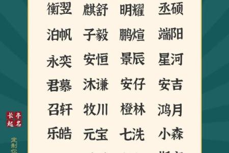 中午1点出生的属鸡男孩取名字适合用哪些字姓名