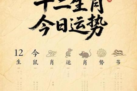 农历1988年月龙算命