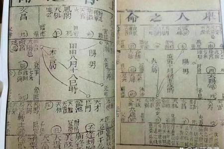 紫薇斗数术数
