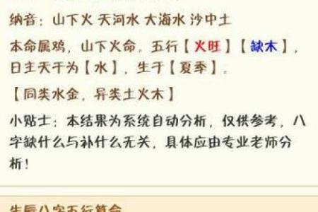 晚上出生的属鸡男孩应该怎么取名字合适姓名