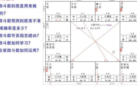 紫微斗数免费算命详解,紫微斗数免费算命神巴巴网