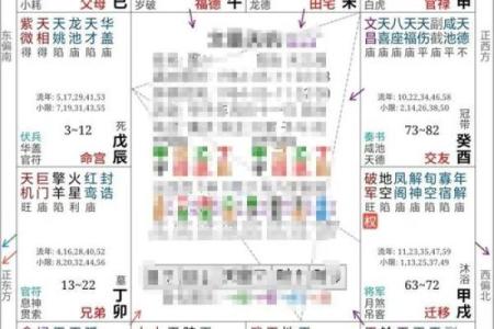紫薇斗数命盘怎么看