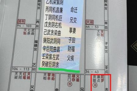 紫薇斗数化解化忌