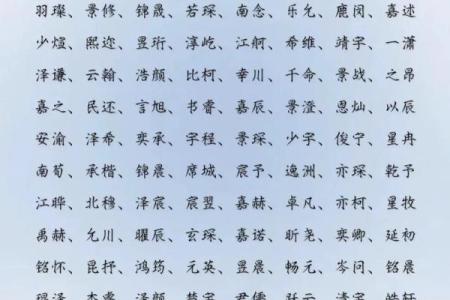 2019年6月19号子时出生的男孩如何起名姓名