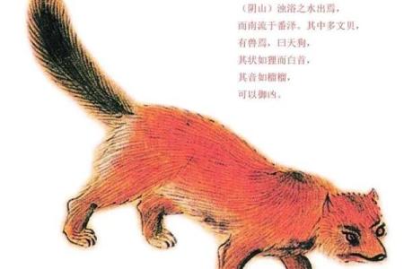 风水上天狗是什么意思象征意义