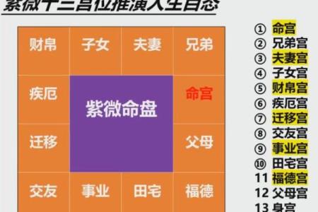紫薇夫妻宫详解