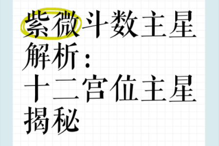 紫薇斗数星象解析