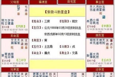 紫薇斗数看生子年