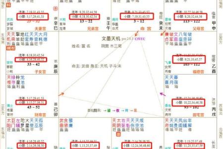 紫薇斗数看流年考学