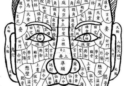 相面算命影视剧在线观看