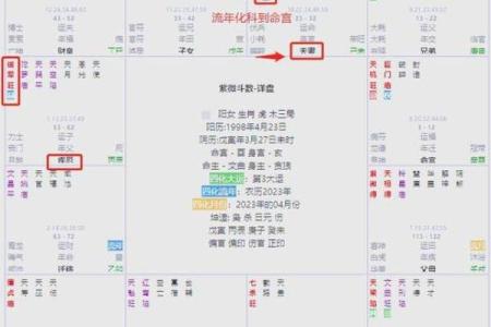 紫薇斗数紫薇在命