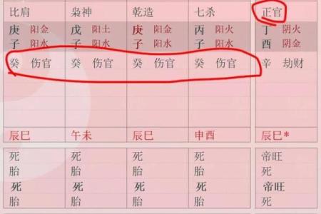 当官的八字