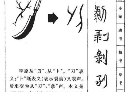生辰八字字的拼音怎么读