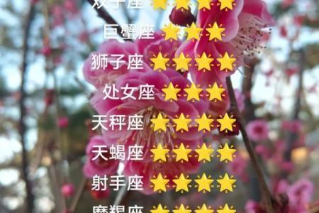 网上白羊座算命准吗