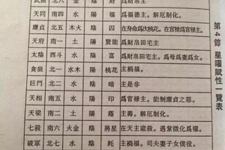 双星紫薇斗数