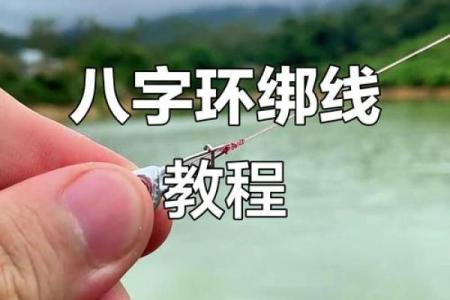 八字扣的绑法图解,八字扣的打法
